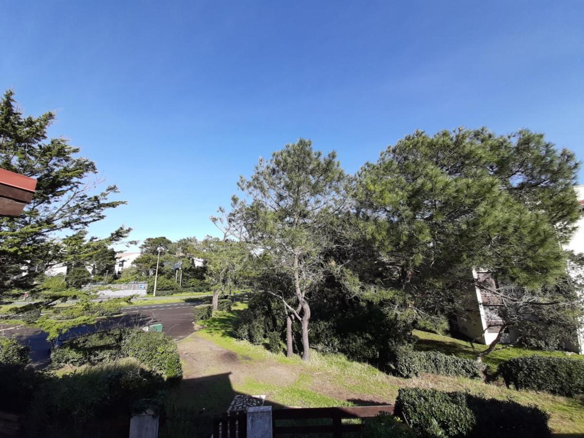 Maison Renovee Avec Terrasse A 700M Des Plages, Marche Et Activites - Tennis Et Piste Cyclable A 10M - Fr-1-239-385 سانيوس المظهر الخارجي الصورة