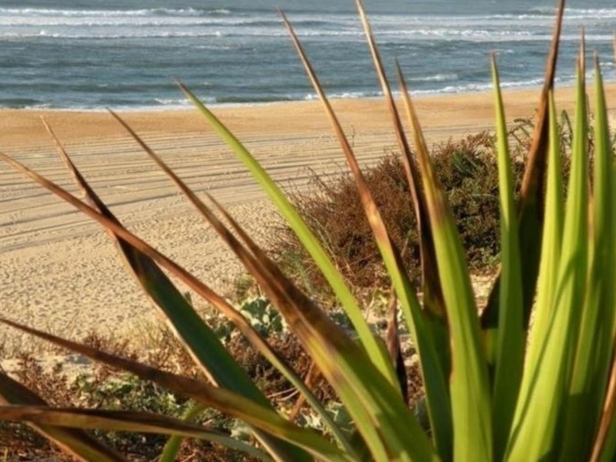 Maison Renovee Avec Terrasse A 700M Des Plages, Marche Et Activites - Tennis Et Piste Cyclable A 10M - Fr-1-239-385 سانيوس المظهر الخارجي الصورة