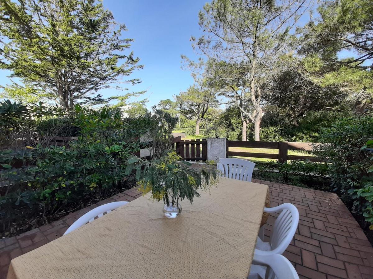 Maison Renovee Avec Terrasse A 700M Des Plages, Marche Et Activites - Tennis Et Piste Cyclable A 10M - Fr-1-239-385 سانيوس المظهر الخارجي الصورة